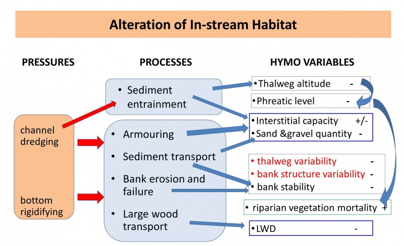 File:Alteration instream habitat.jpg