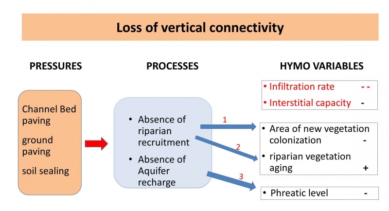 File:Loss vertical conectivity.jpg